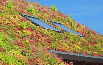 Old Scone living roof systems