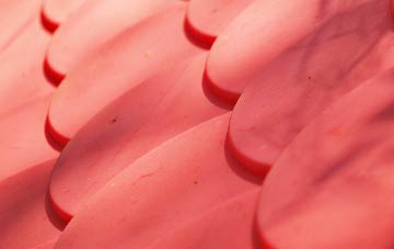 Old Scone plastic roof costs